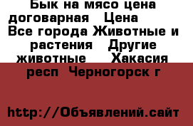 Бык на мясо цена договарная › Цена ­ 300 - Все города Животные и растения » Другие животные   . Хакасия респ.,Черногорск г.